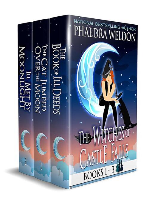 Title details for Witches of Castle Falls by Phaedra Weldon - Available